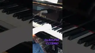 🎹Need the exercise?▶️#127:Op.821,160 Eight measure Exercise - C.CZERNY#shorts #piano#etude