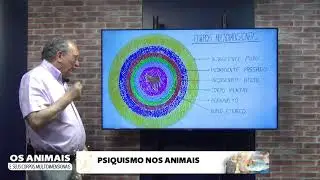 20 PSIQUISMO NOS ANIMAIS