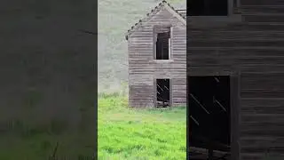 Hartle Road Homestead, Holdman Oregon. #pioneer #ranch #adventure