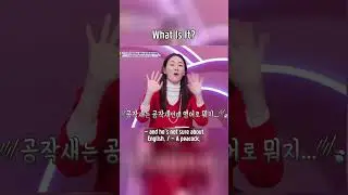What Is It?🙄 #TheReturnofSuperman | KBS WORLD TV