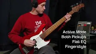 2023 Sadowsky MetroExpress 21 Fret Hybrid PJ 5 String Bass - Sound Demo (NO TALKING)