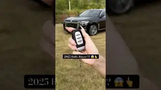 Ultimate Car Review 2024 !! Hongqi H9 #car #cars #review #asmr