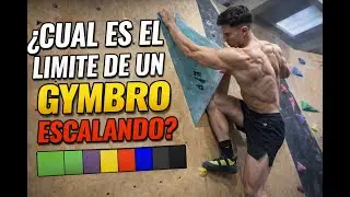 ¿Cual es el Limite de un Gymbro Escalando?