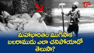 బలరాముడు ఎలా చనిపోయాడో తెలుసా? | Lord Balarama Life End Scene After Maha Bharatam | TeluguOne