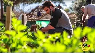 Sustainability Internship in Cape Town, South Africa