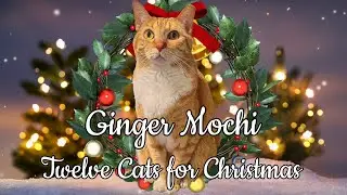 Ginger Mochi - Twelve Cats for Christmas