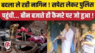 Hapur Nagin Video: Villagers troubled by the terror of the snake, UP Police arrived with a snake charmer. Viral Video