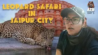 Jaipur the LEOPARD CAPITAL? | Jhalana Leopard Reserve  Project All Tiger Reserves| Day 05