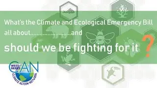 What&rsquo;s the Climate and Ecological Emergency Bill all about and should we be fighting for it?