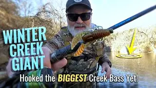 Winter Creek Fishing -  BIGGEST Creek Bass Yet!