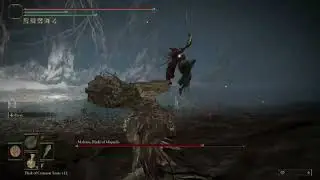 malenia parry progress