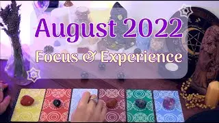 August 2022 - Your Experience, Main Themes & Focus 🌟 Psychic Vision Tarot Reading