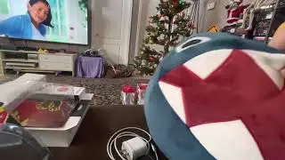 How the dog stole Christmas: GOOMSTER Show