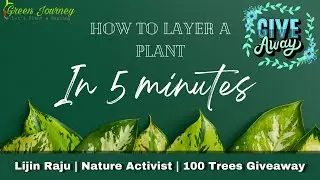 100 trees Giveaway | First Vlog | how to layer a plant | Malayalam Video| Nature Activist | Lijin