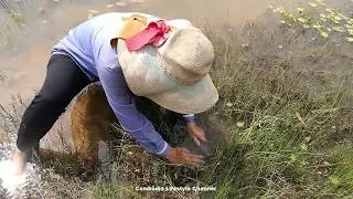 Amazing woman Catching Fish using Khmer Traditional Fishing Tools bamboo netAngruth