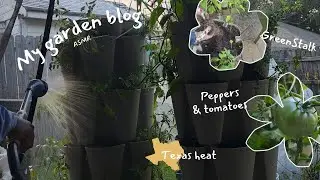 Rebuild my garden with me | ASMR Garden Vlog