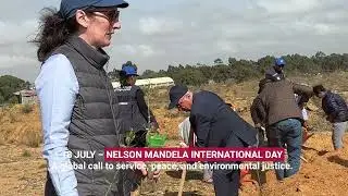 Tree planting Picture story