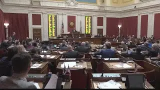 Local lawmaker calls delegate who stormed Capitol a 'domestic terrorist'