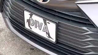 Diva Funny license plate