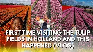 VLOG: What you need to know before visiting the Tulip Fields in Holland