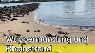 Wuppermündung und Rheinstrand