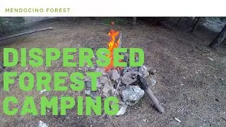 Dispersed is Free Camping in National Forest