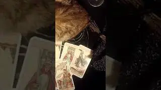 КОГДА ЗАКОНЧИТСЯ ДОЛГОЕ ОДИНОЧЕСТВО И ПРИДЁТ ВЗАИМНАЯ ЛЮБОВЬ ?