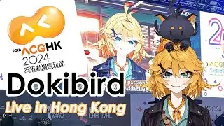 Dokibird - Live in Hong Kong at ACGHK 2024 #dokibird #birdseats #acghk2024