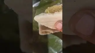 നാവിൽ വെള്ളമൂറുന്ന നാടൻ ഇലയട! 🥥🌴 #food #viral #shorts #keralarecipe
