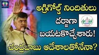 Agrigold Scam Culprits Got Bail, Is Chandrababu Behind Agrigold Culprits | Andhra Pradesh | TFC News
