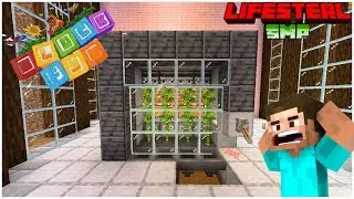 &ldquo;From NOOB to MILLIONAIRE using BAMBOO FARM in Block Fun Server!! 🌿💸&rdquo;