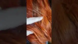 Long Red Hair Close Up