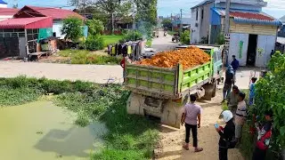 excellent landfilling build school project complete ,truck transport soil , bulldozer push soil