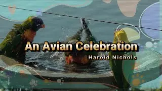 An Avian Celebration - Exodus 12:14 / All God's Creatures