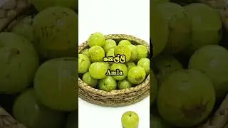ඇසේ පෙනීම වැඩි කරන ආහාර Foods that improve eyesight #healthsinhala #vitaminb2 #moringasuperfood