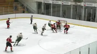 Golden Bears Hockey VS U of C Dinos
