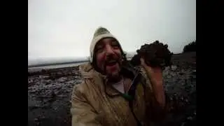 Fossil Freak Skippy FindsFreaky Salty Ammonite Art