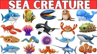 Морские обитатели для детей 🐳 | 35 прекрасных морских существ на английском языке