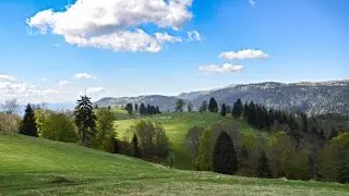 Vučja Planina...maj '15