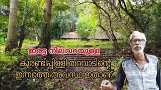 ഇപ്പോഴും കാടിന്റെ നടുവിൽ തന്നെ 400 വർഷം പഴക്കമുള്ള ഈ തറവാട്.