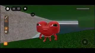 EU E MEU AMIGO JOGANDO RODOGRAU 2.0 NA ROBLOX MOSTRAMOS OS MELHORES ESCONDERIJOS DE  RODOGRAU 2.0