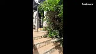 Bob Marley home #bobmarley #bob #marley #jamaica #no1ontrending #1ontrending #jamaican #reggae #duet