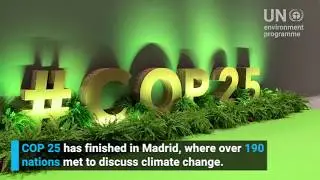 COP 25 Madrid - Searching for solutions