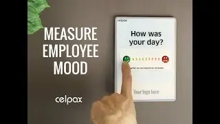 Employee morale: Dashboard Trend Analysis #Celpax