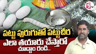 పట్టు పురుగుతో పట్టుచీర.. || Silkworm Rearing To Silk Processing || @sumantvkakinada