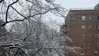 January 18, 2026 Peaceful Winter Scenery snow کا خوبصورت منظر❄️🌨️