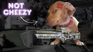 Cheezy ist EXTREM SAUER!