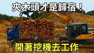 開著挖機去工作，挖鬥只是過渡，夾木頭才是歸宿！ 【陳師傅開挖機】