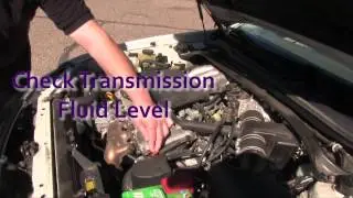 Road Trip Car Care: Tips For A Car Check Before A Road Trip