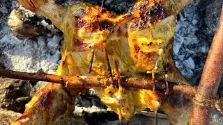 Whole chicken cooked outdoors #cook #cooking #food #nature #outdoorcooking #outdoor #chicken 
